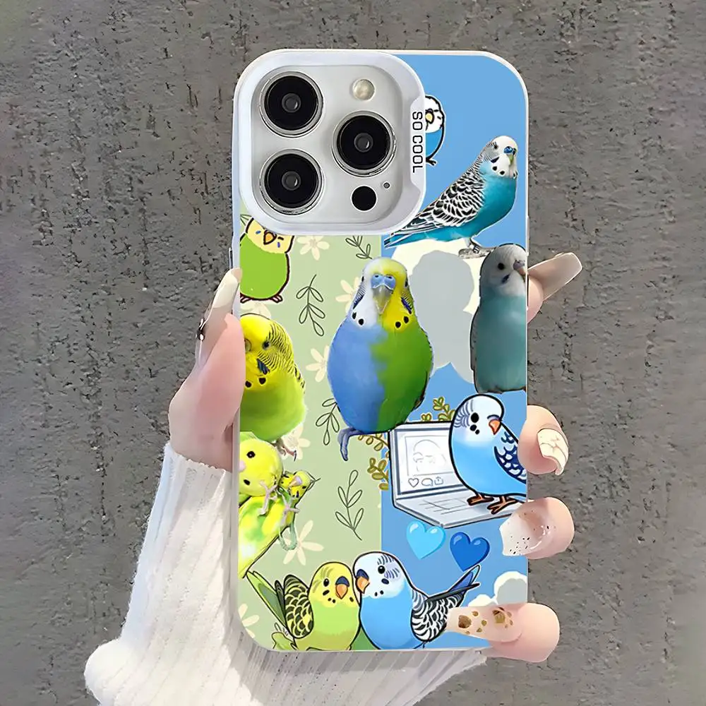 Custodia per telefono Chubby Cockatiel Parrot BirdS per iPhone 17,16,15,14,13,12,11,Pro,Max,Plus,SE,Air,Mini Paraurti bianco anticaduta