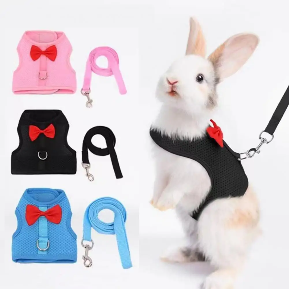 Rabbit Traction Harness Stylish Bow Decoration Pet Harness Leash Set for Small Pets Adjustable Solid Pet Leash for Rabbit Cat