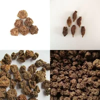 Wholesale Bulk Japanese Catnip Cat Toy Dried Fruits Organic Actinidia Polygama Matatabi Silvervine Fruit 1
