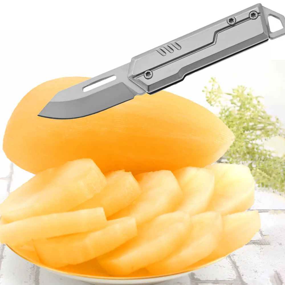 حار بيع في الهواء الطلق EDC للطي D2 سكين المحمولة متعددة الوظائف التخييم سكين الفاكهة المنزلية المضادة للانزلاق مقبض #1