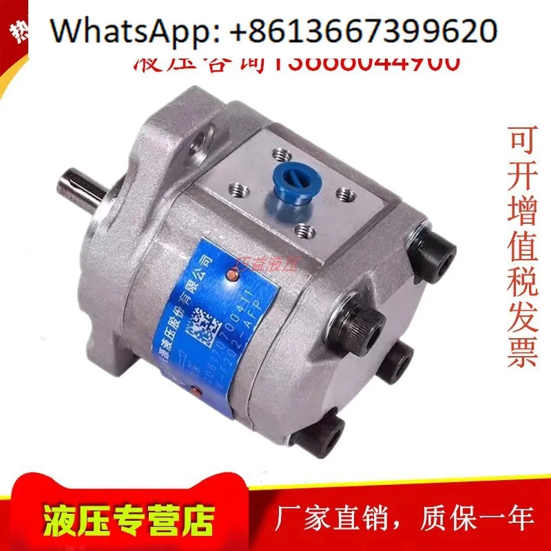 Gear pump CBW-F314/F316/F320-ALP/AFP/CLP/CFPL hydraulic pump HCHC.1PCS