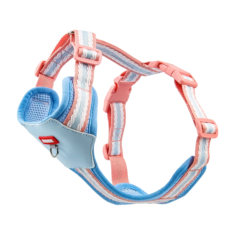 Color Block Harness For Small Dogs Breathable Mesh Pet Walking Lead_voghion.com