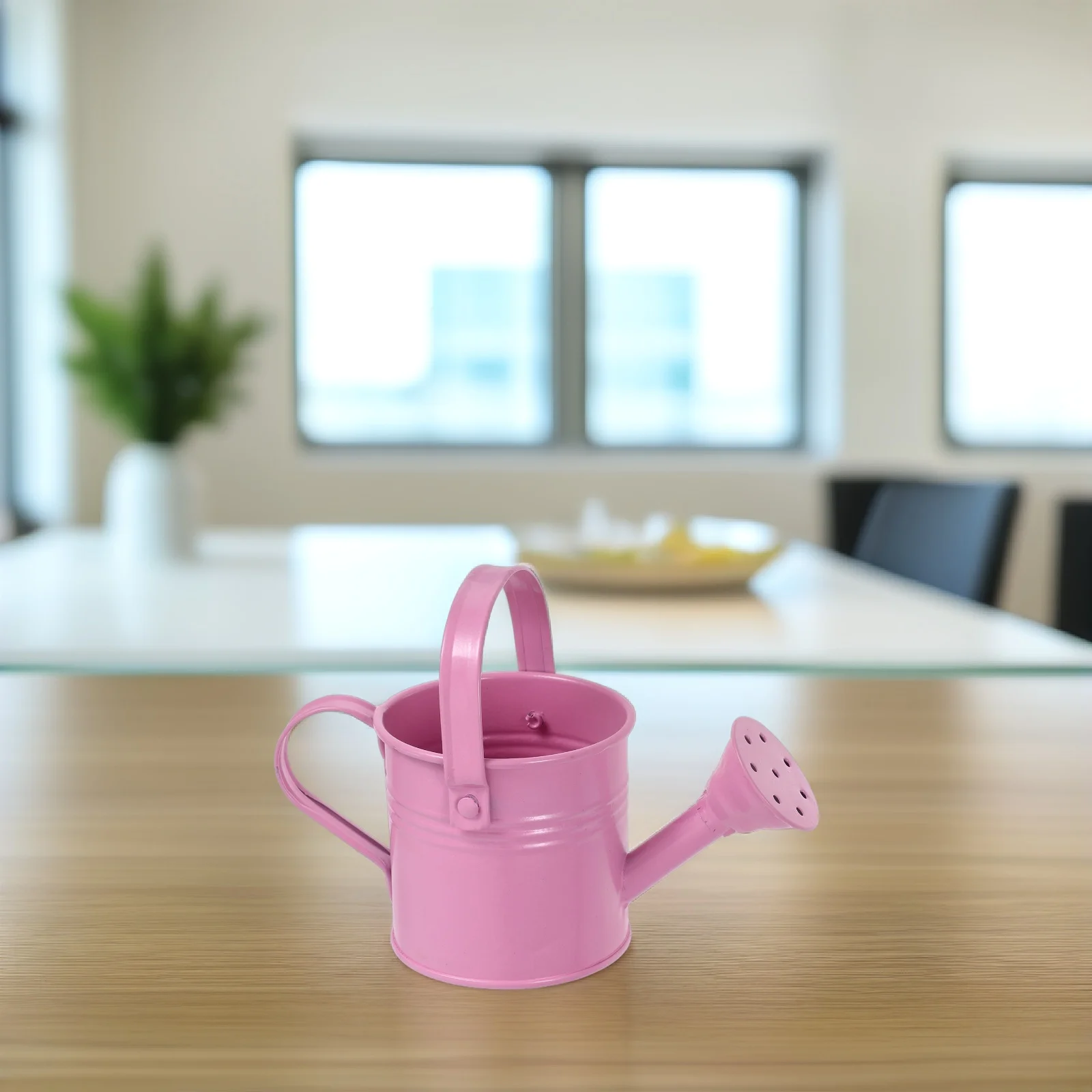 

1pc Mini Watering Can Flowerpot Galvanized Iron Plants Sprayer Home Decor Indoor Gardening Tools Small Size Desk Table Greenery