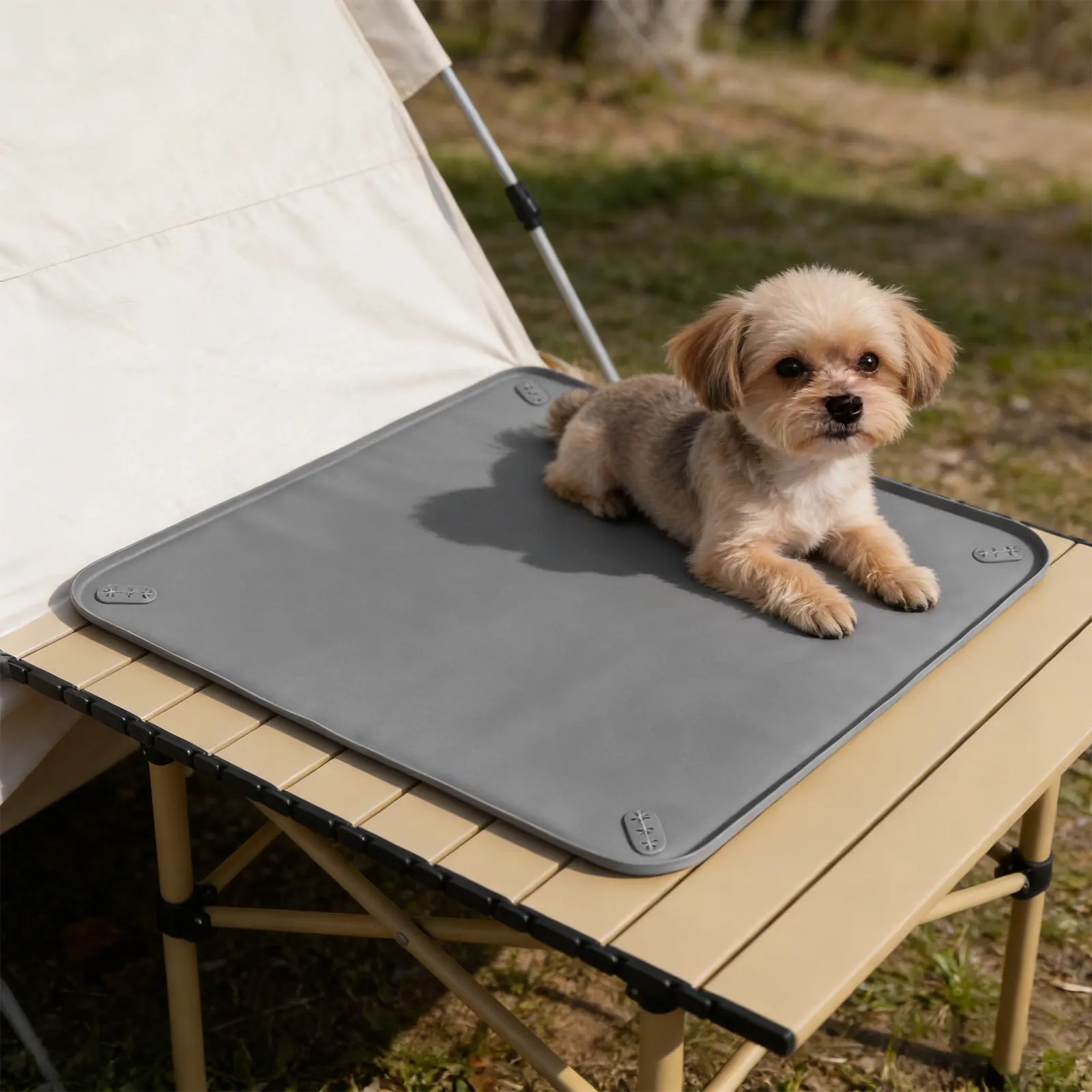 

Silicone Dog Pee Pad Holder Tray 24x24 Inch High-Edge Reusable Washable Urine Isolation Mat for Puppies Training Leakproof
