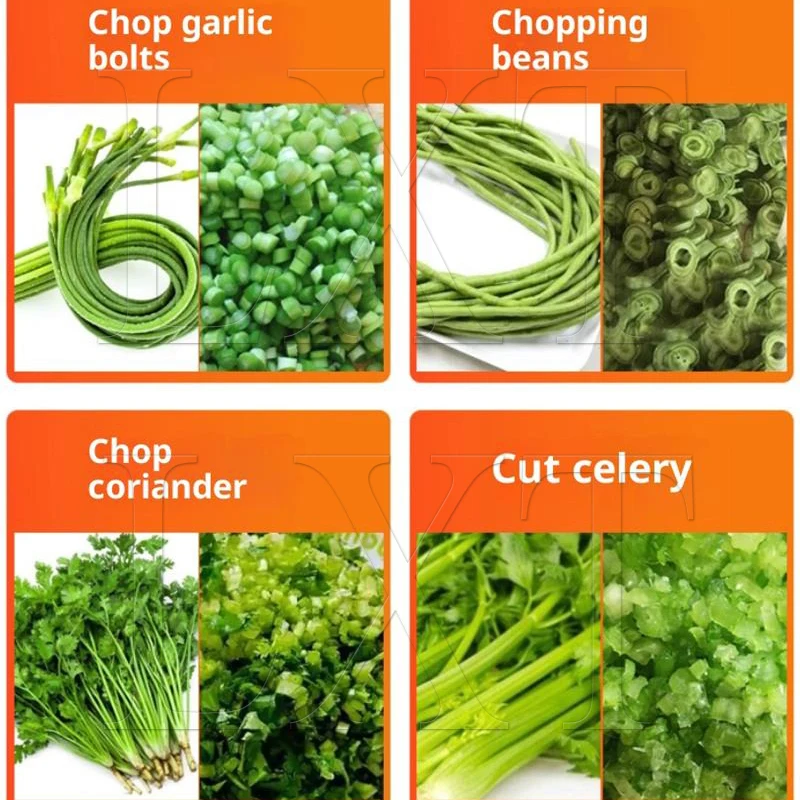 220v Vegetable Cutter Machine For Chopped Green Onion Chopper Leek Pickled Cabbage Vegetable Slicer Machine