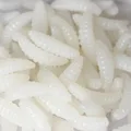 100pcs White