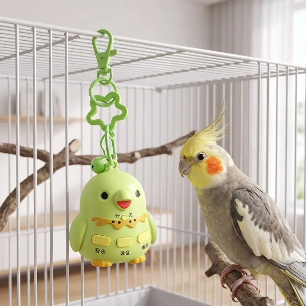 Bird Shape Bird Learning Machine Recording Playback Parrot Teach Talking USB Charging Interactive Voice Recorder Keychain