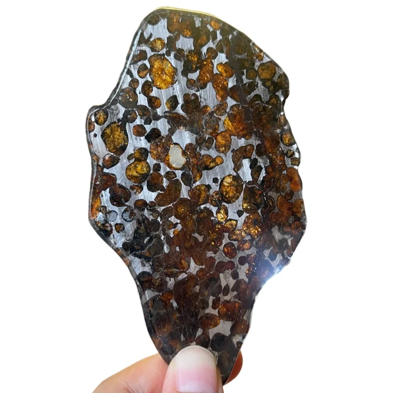Authentic Kenyan Sericho Pallasite Meteorite Irregular Slice Transparent Olivine Collection Decor QA865