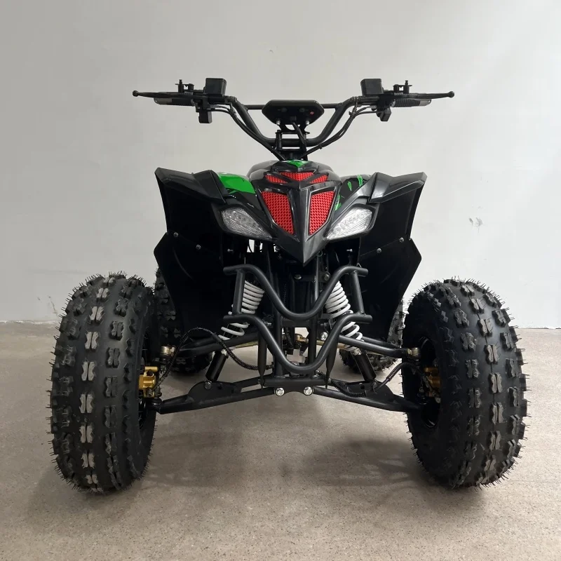 Hot Selling Electric ATV 2WD Automatic Shaft Drive 75-100Km/h Factory Customization with CE