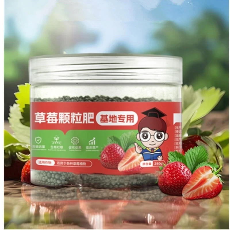250G Strawberry Fer… - image