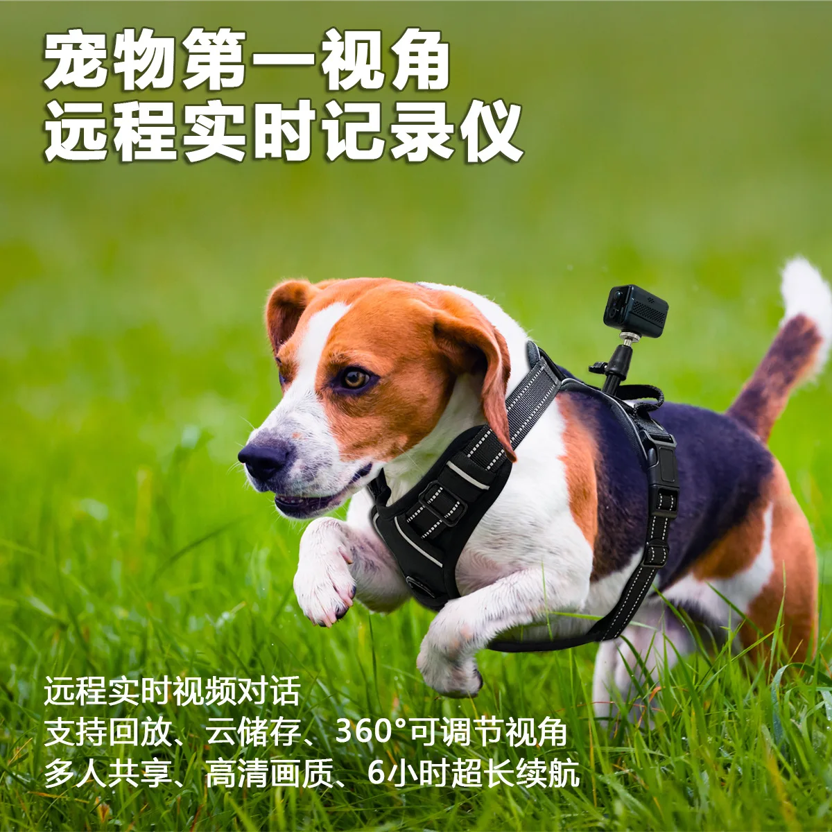 4G pet camera dog cat first view strap neck recorder video call conversation monitoring