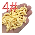 4(size4)