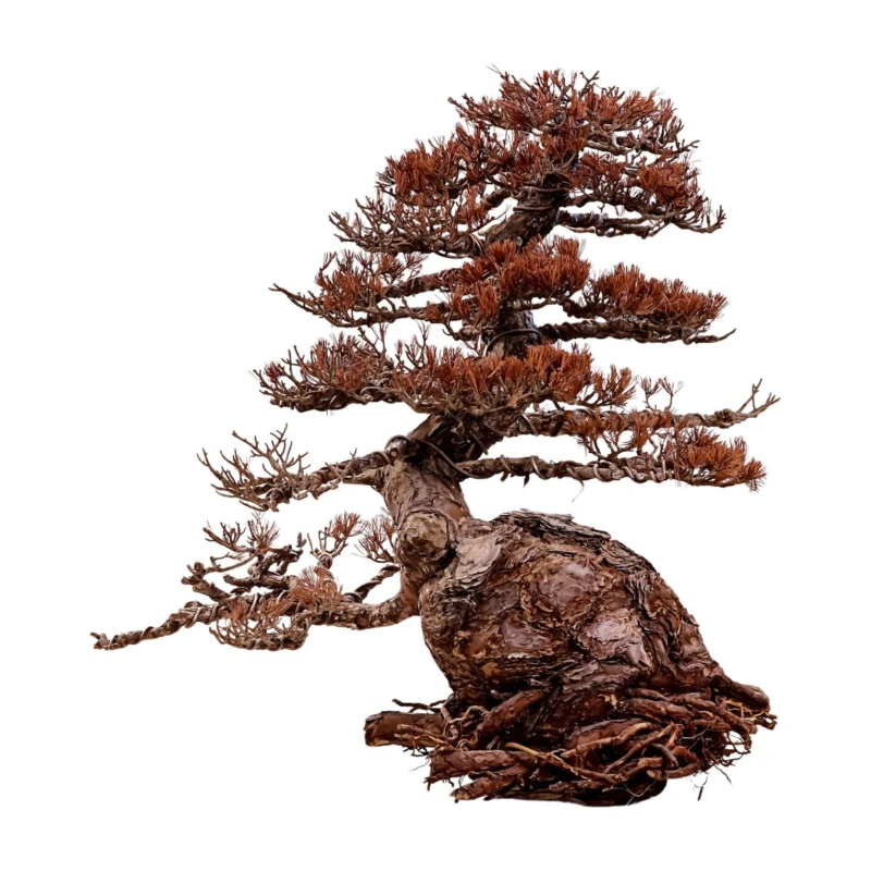 

Wood ornaments High-end hotel commercial art carving ornaments Wood art decoration
