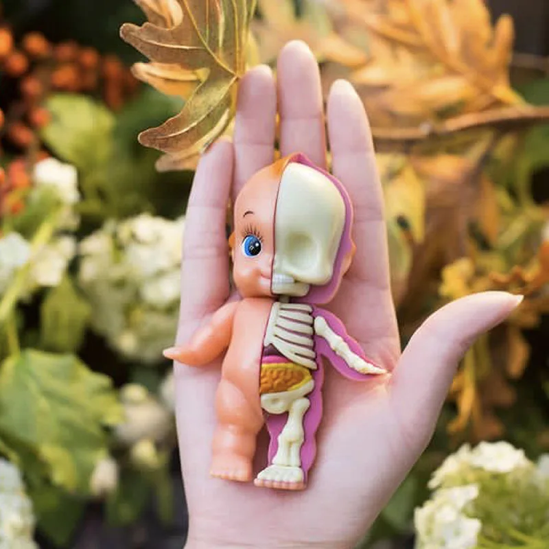 10CM 4D Master Half Baby Cupid Anatomy Model Funny Skeleton  Anatomical Cartoon Figurine Model Halloween Decoration Gifts