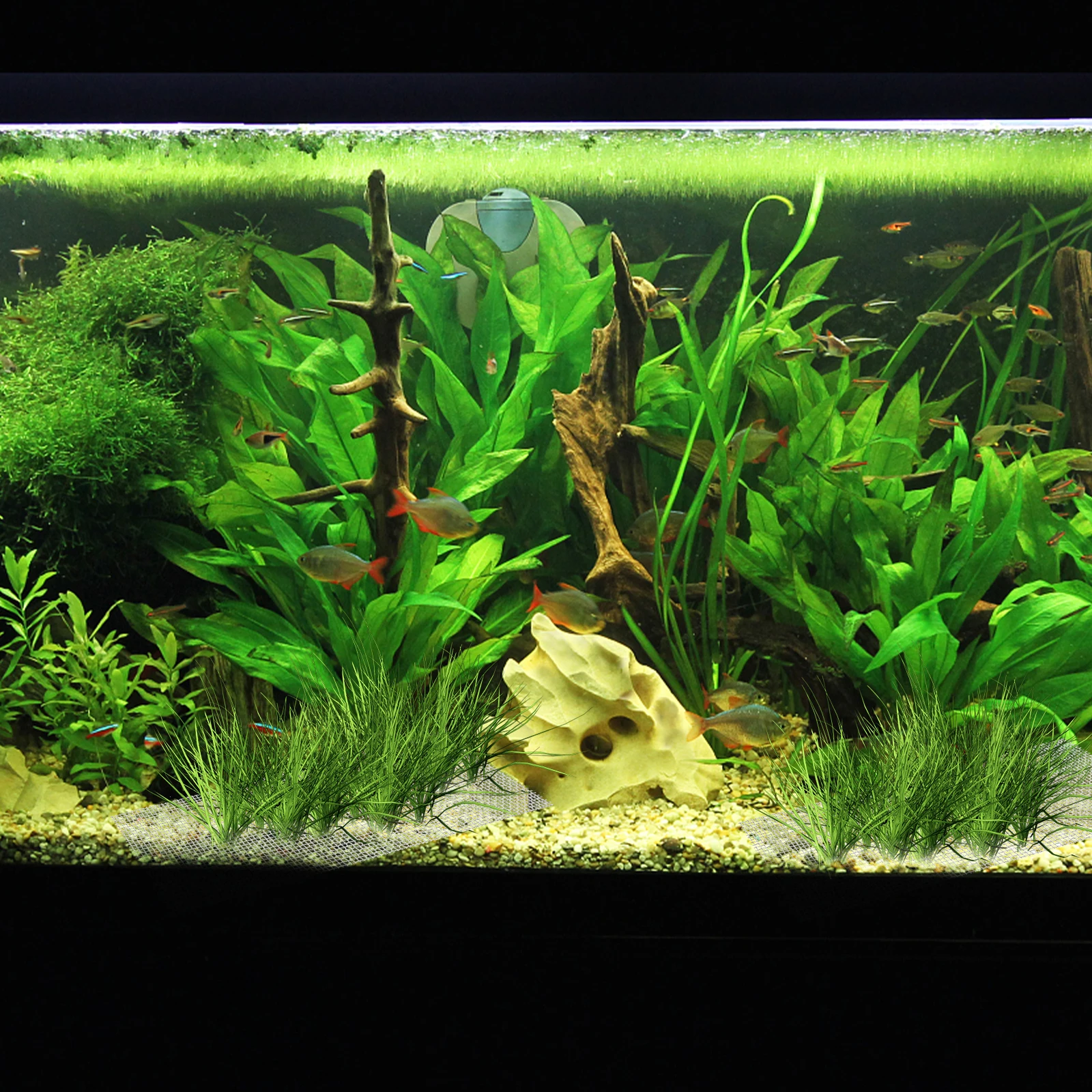 

10Pcs Stainless Steel Aquatic Moss Mesh Durable Moss Wall Fish Tank Carpet Practical Long-Term Use Seaweed Mesh