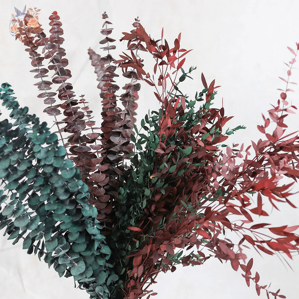 

Eternal Eucalyptus Leaf Flower Arrangement Material Shooting Prop Home Vase Filler Decor Dried Plants Wedding Party Supplies