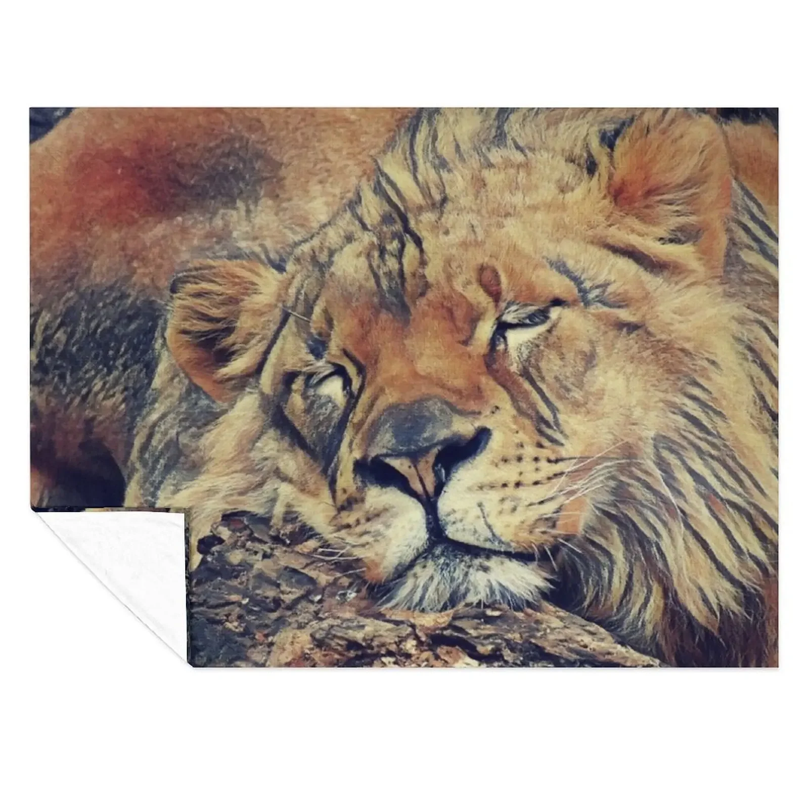 

Sleepy Lion Throw Blanket Beautifuls Warm Flannels Flannel Fabric Blankets