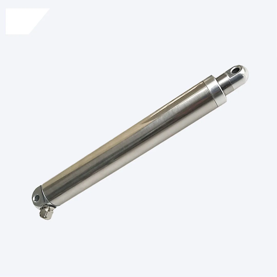 High Power Waterproof IP66 Linear Actuator Motor Diameter 25mm Max Load 50kg Built-in Limit Swith Stainless Steel