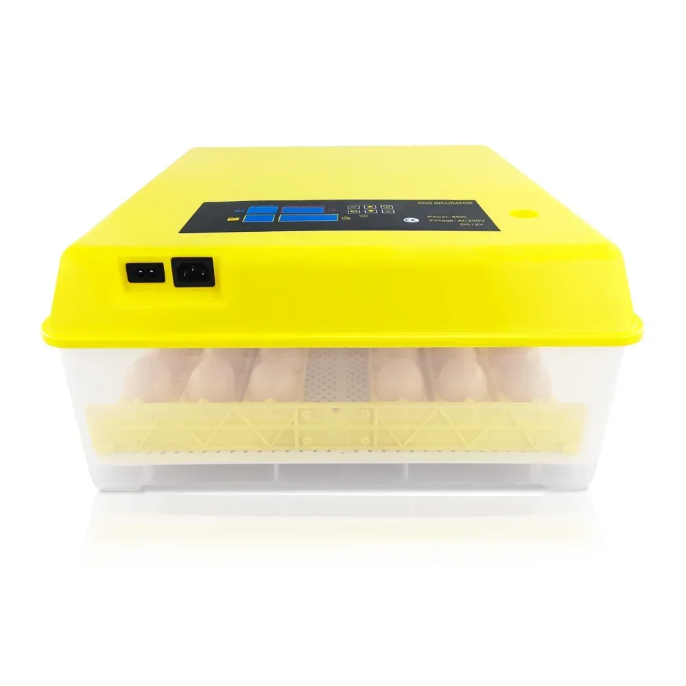 220V and 12V battery dual operation automatic chicken egg incubator eggs brooder