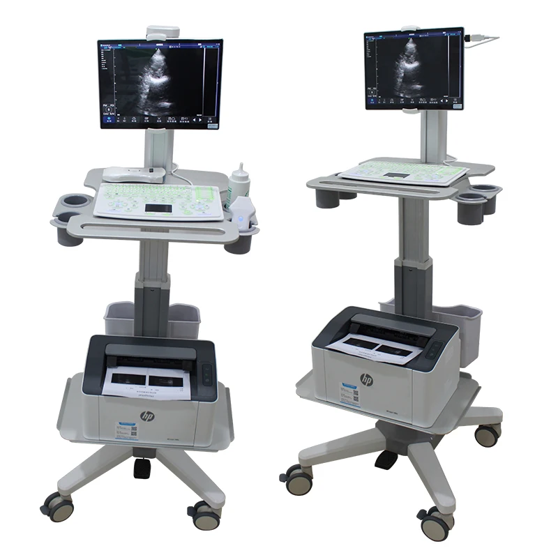 Trolley/Portable/Handheld 3 in 1 Color Doppler Ultrasound