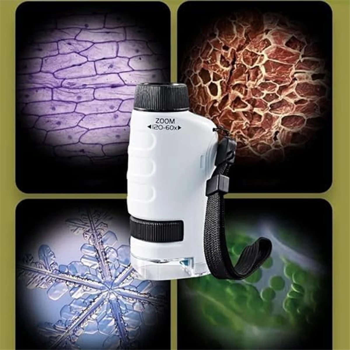 Trending Minilabsters Miniscope Kids, Mini Labsters Portable Microscope, Mini Labsters Portable Microscope (Blue)