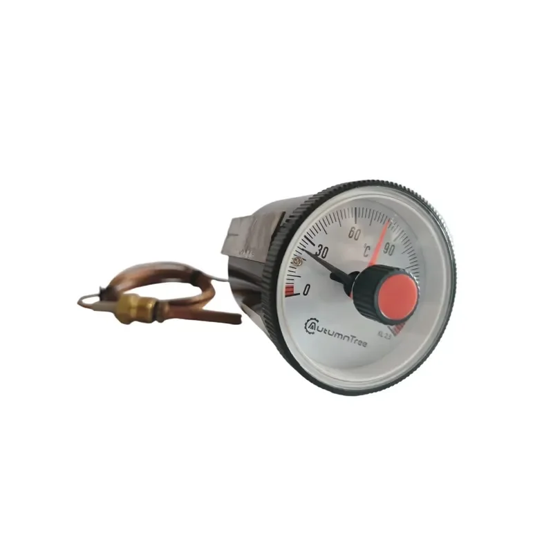 Expansion Thermometer Micro Switch Thermometer
