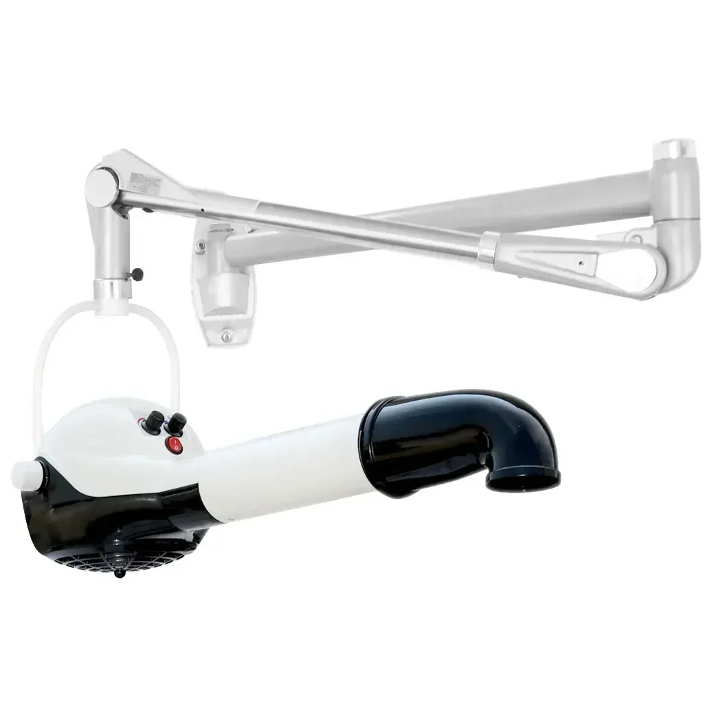 Professional Pet Salon Ionic Wall Hanging Brushless Motor Dog Hair Dryer Low Noise Fast Drying Grooming Blower