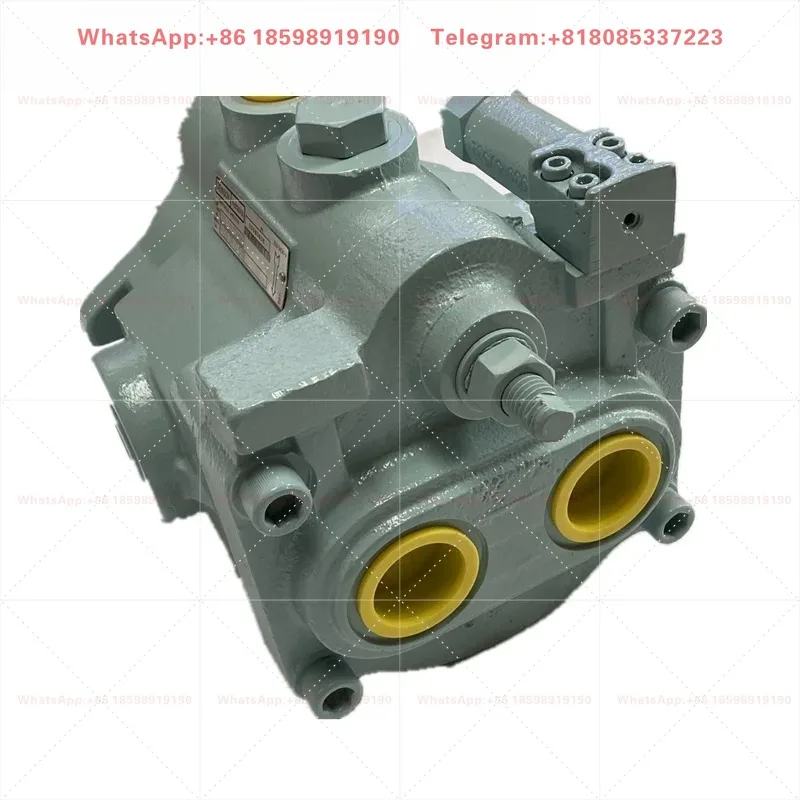 PV Series Hydraulic Piston Pump PV/PVM/PVR/PVT/PVW/PVX/PVY/PVZ Multiple Displacement Specifications