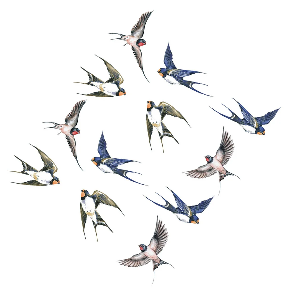 Anti-Collision Window Stickers Window Decals Plastic Birds Warning Window Sticker For Glass Door Casement Swallow Decals