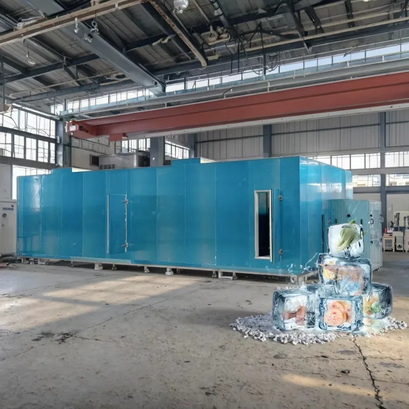 Customized Fully Automatic Efficient Tunnel Quick Freezer 100kg/h-3000kg/h with CE Fast Cooling Product Type Freezing Equipment