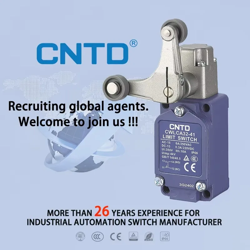 CNTD CWLCA32-41 10A 380V Waterproof 1NC1NO Handle Swing Lever Vertical Travel Limit Switch