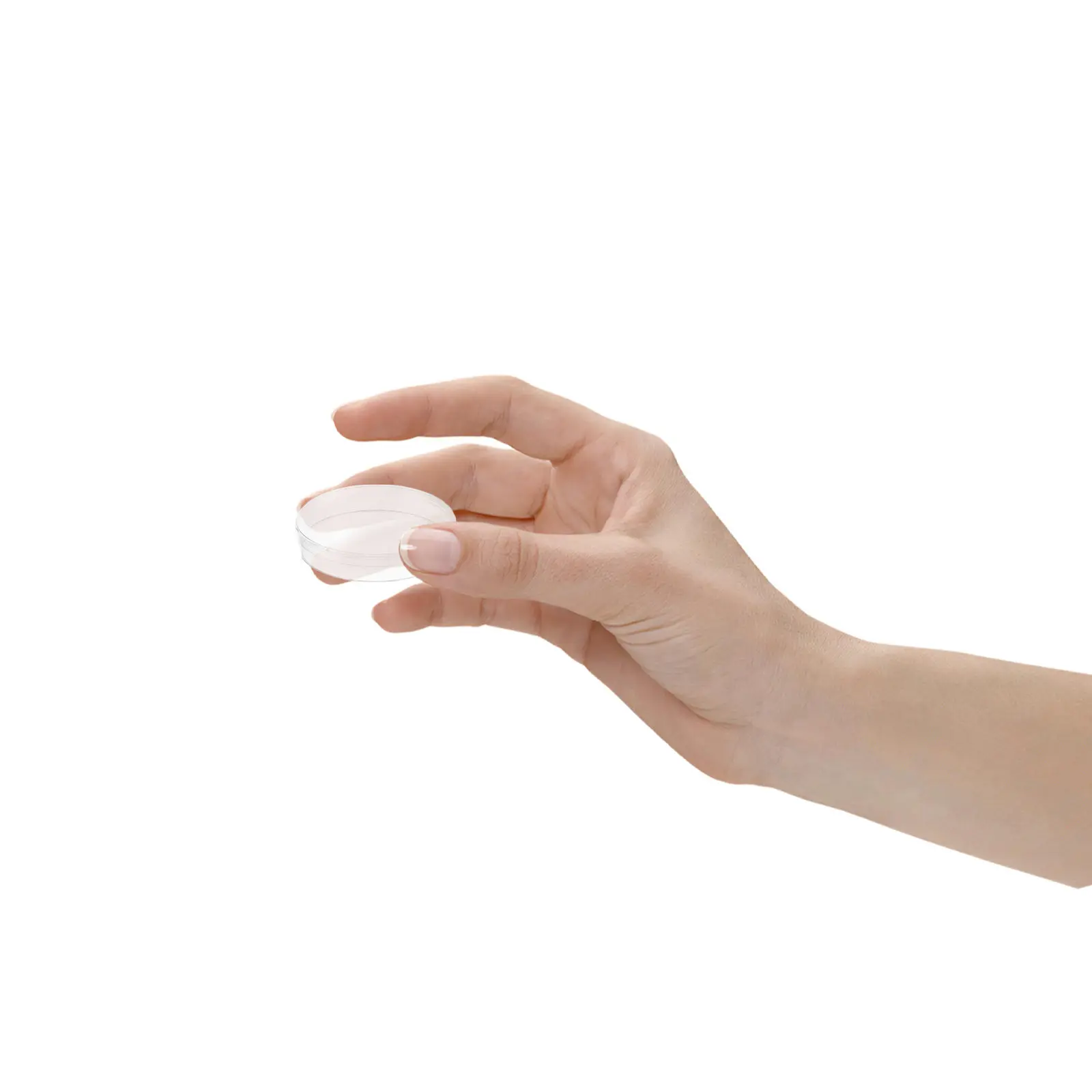 

10Pcs Culture Plate Petri Dish Clear Plastic with Lid for Science Experiment Laboratory Biology Research Supplies