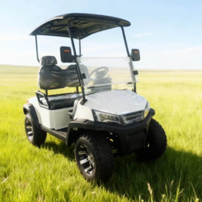 China Factory Off Road Golf Club Lithium Battery Electric Golf Cart With 14-Inch Off-Road Tires Side Mirror With Turning Light