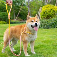 Pet leash dopamine color adjustable explosion-proof diagonal Shiba Inu P-link dog leash traction medium-sized dog large dog
