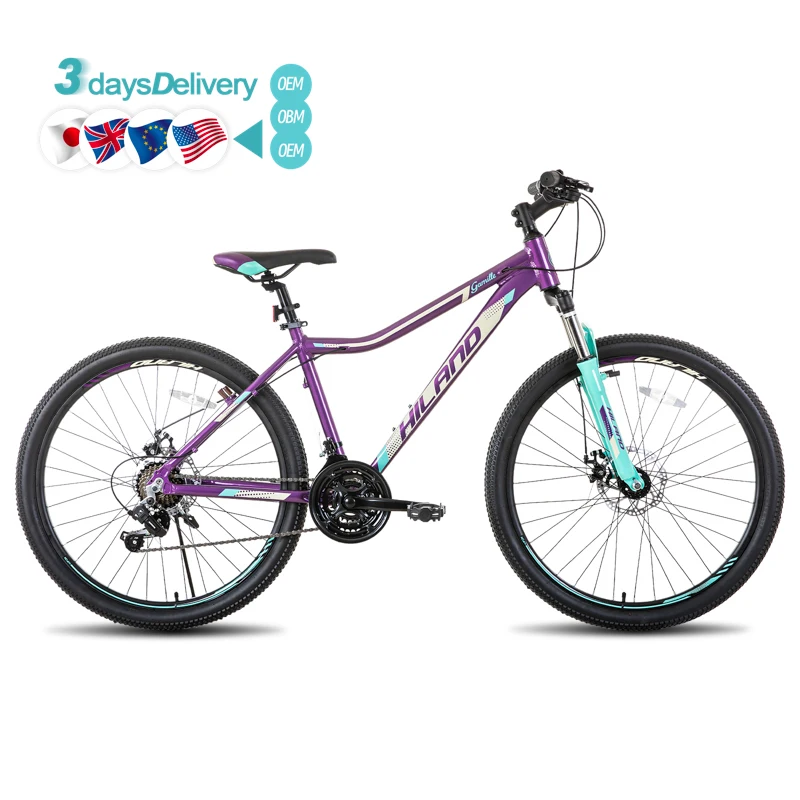

26/27-Inch 21-Speed Customizable Best-Selling Direct From Chinese Factory Innovative Color Design Mountain Bike