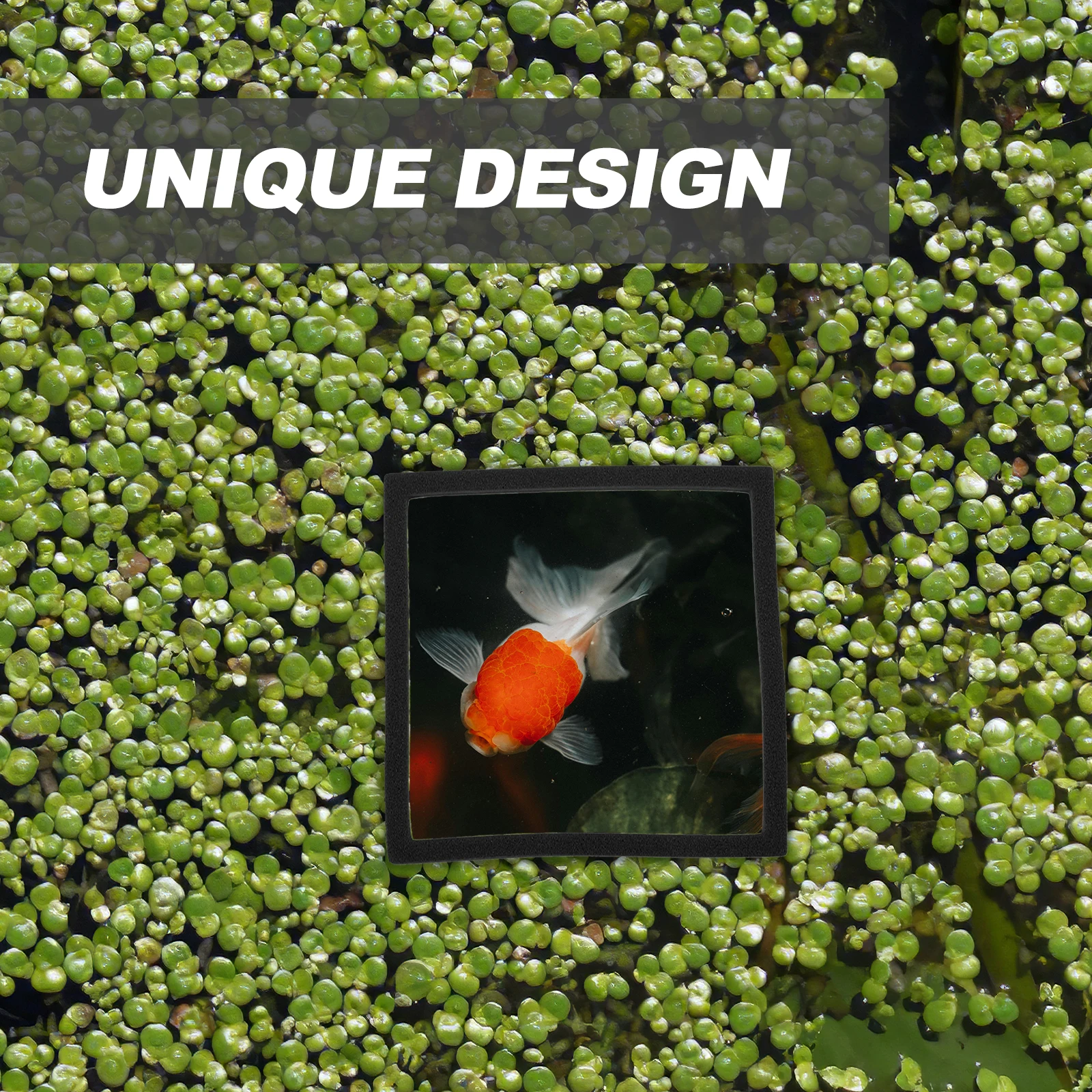 

5Pcs Aquarium Floating Plant Rings Eva Plastic Square Floating Plant Fish Feeding Ring Isolation Ring Holder for Aquarium Fish