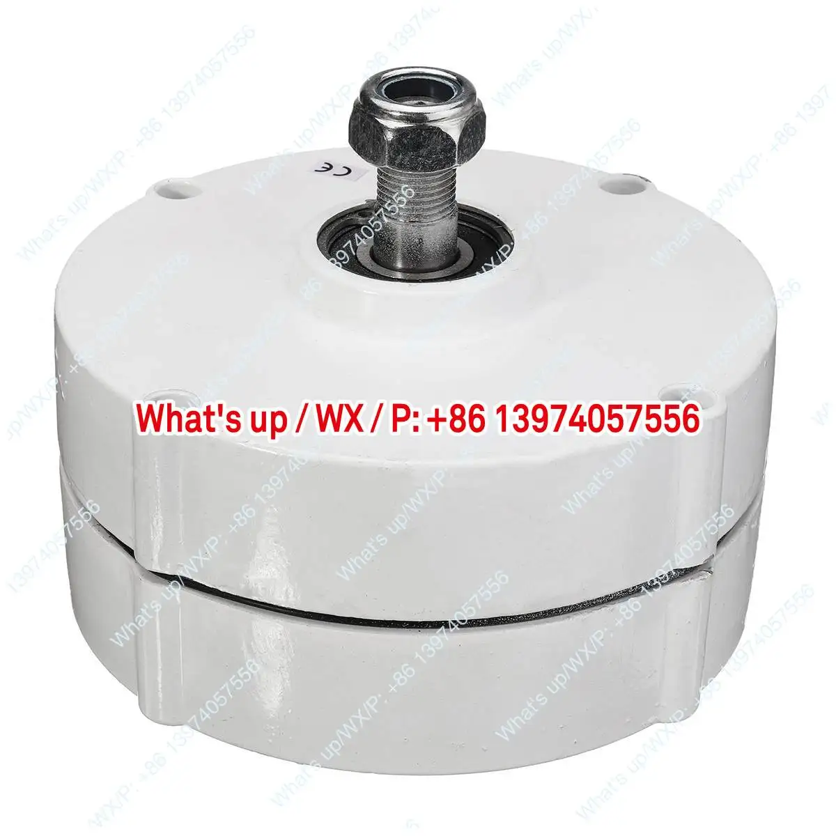 Three-phase AC rare earth NdFeB permanent magnet generator 100W200W300W400w12V24V48