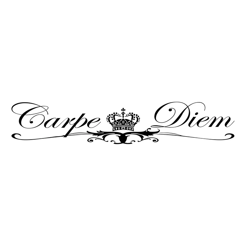 

CS40041# наклейки на авто Carpe Diem водонепроницаемые наклейки на машину наклейка для авто автонаклейка стикер этикеты винила наклейки стайлинга автомобилей украшения на бампере автомобиля заднее стекло