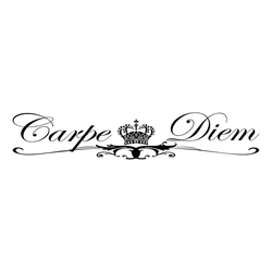 CS40041# Die-cut Vinyl Decal Carpe Diem Car Sticker Waterproof Auto Decors on Bumper Rear Window