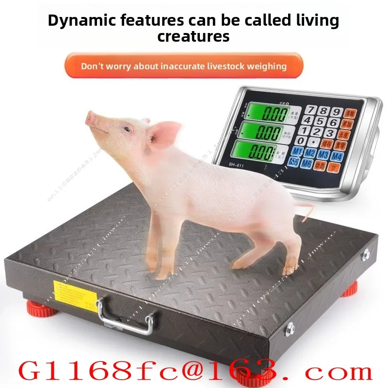 Commercial Precision Electronic Scale 100kg-300kg Platform Scale Electronic Scale 1000 Pounds