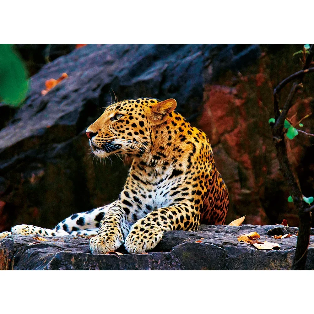 MaxRenard Puzzle 1000 Teile für Erwachsene, Tier, Leopard, umweltfreundliches Papier, Weihnachtsgeschenk, Spielzeug