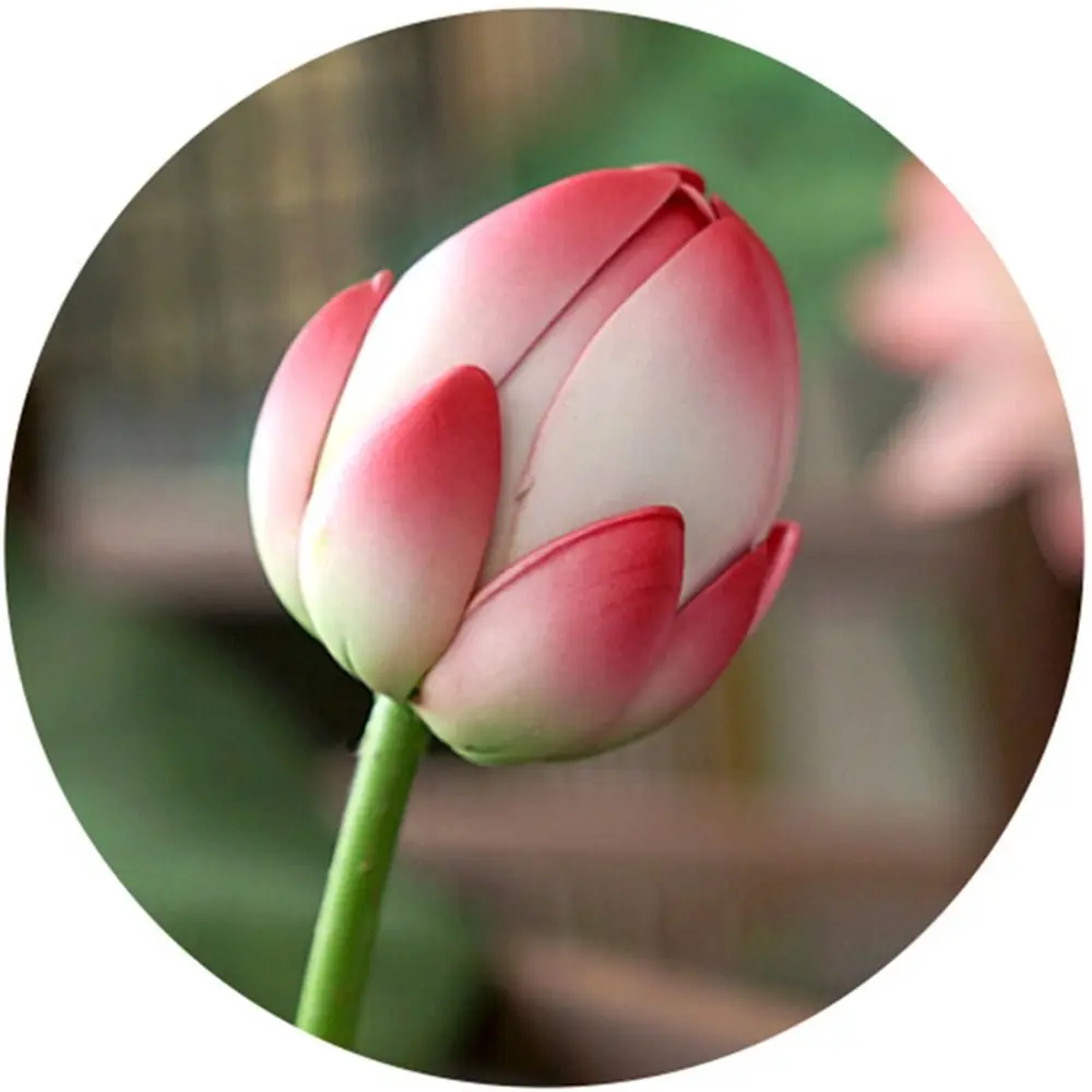 

Artistic Landscape Artificial Flower Long Stem DIY Decoration Simulated Lotus Flower Green Plant EVA Lotus Leaf Garden Supplies