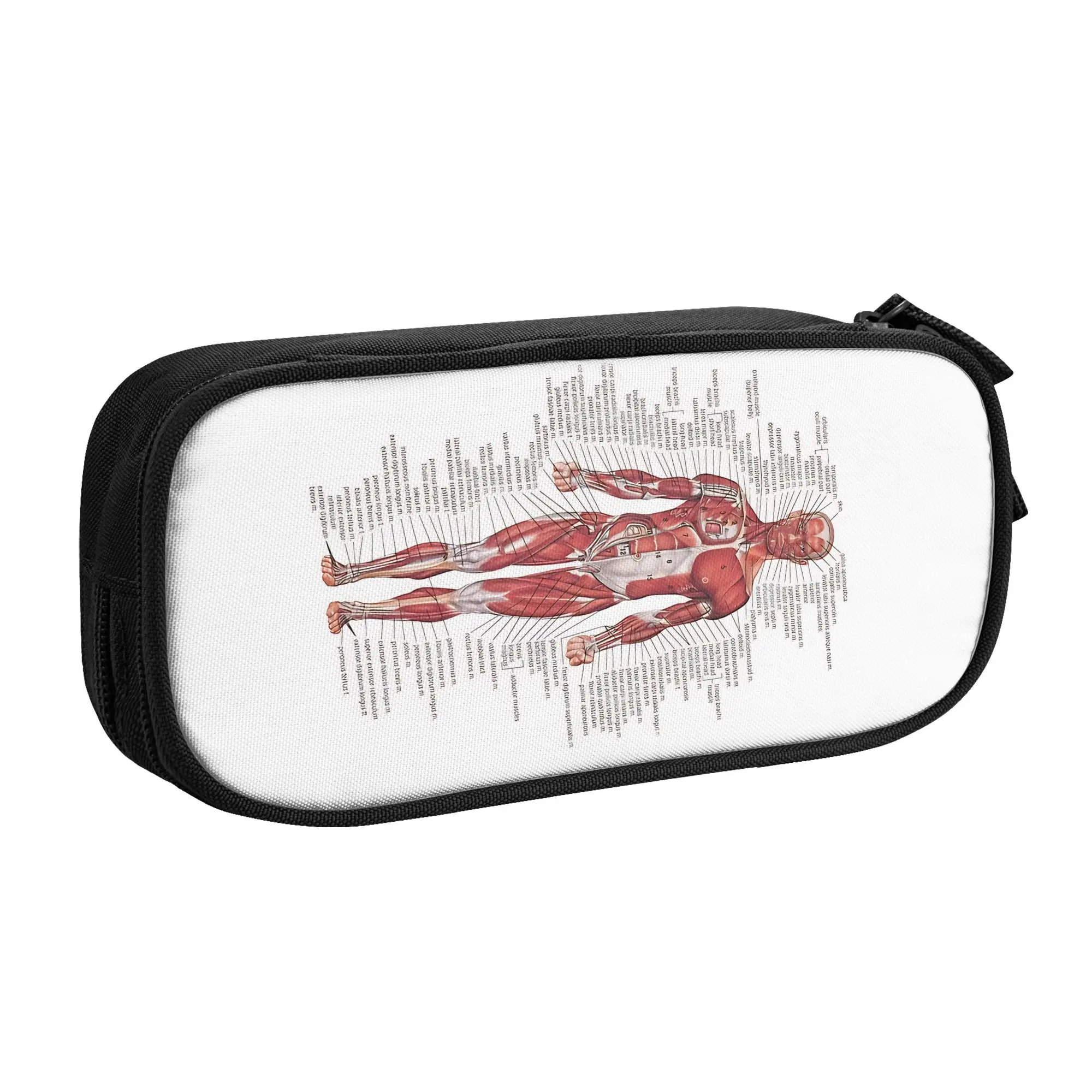 estojo-leve-para-lapis-formato-de-corpo-humano-para-meninas-bolsa-de-canetas-material-escolar-para-escola-de-medicina-1-peca