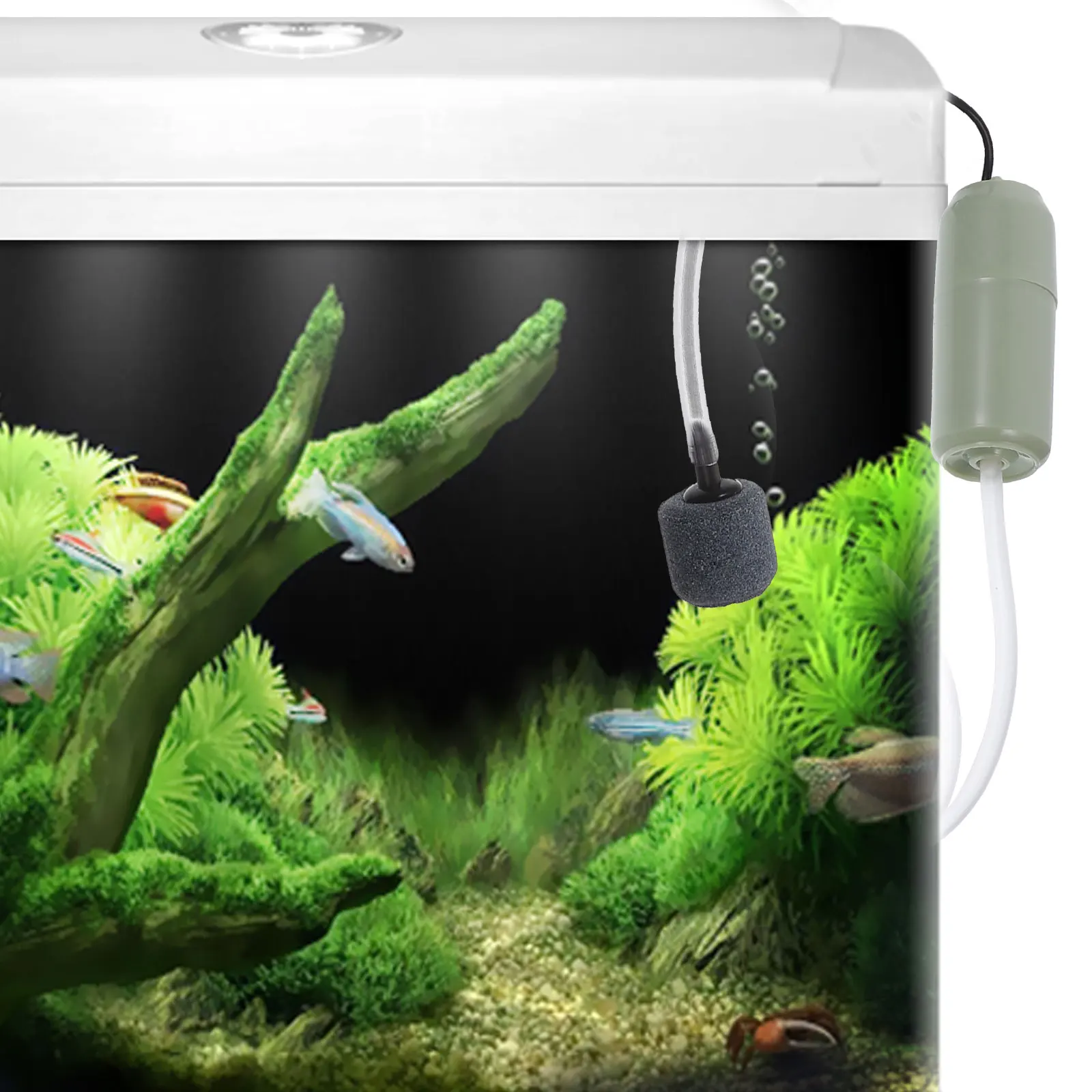 

Oxygen Pump Aquarium Water Accessories Small Portable Air for Fish Tank Pumps Mini Usb Quiet Bubbler