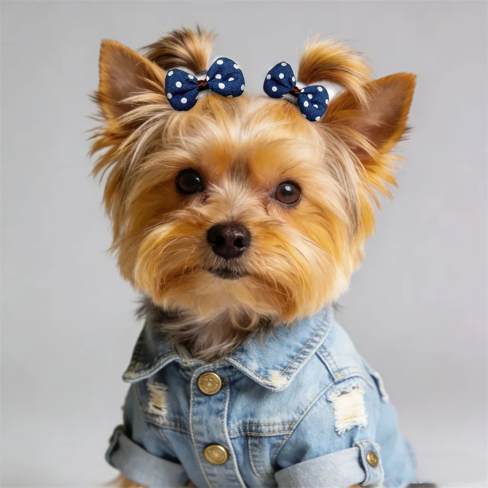Denim Pet Bow Tie Set 3