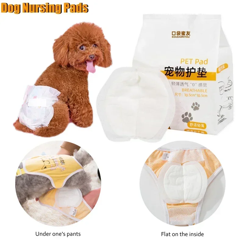 Disposable Dog Diaper for Female Dog, Nurse Pads, Menstrual Pad, Sanitary Napkins  Dogs, Small Pet Physiological Pant