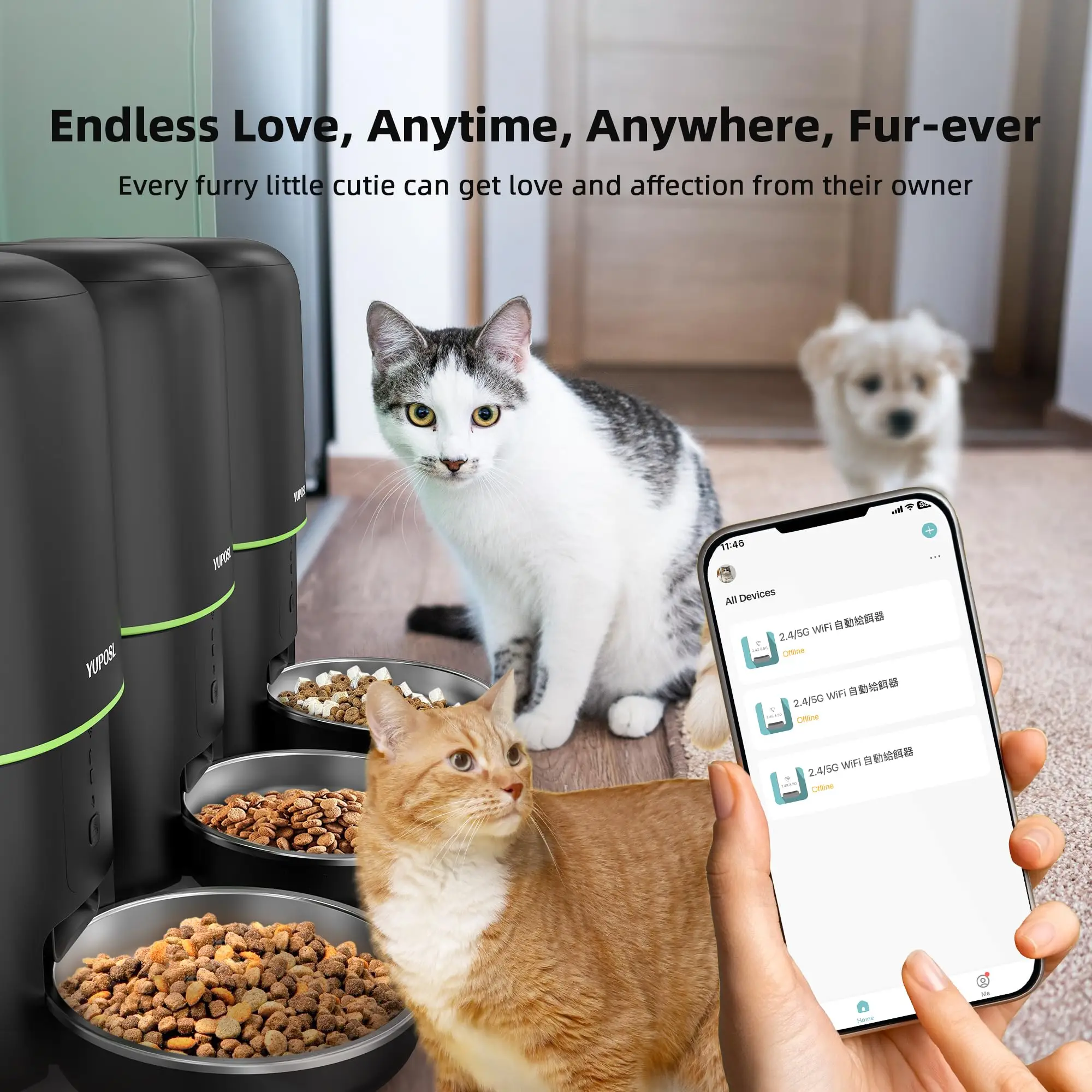 Automatic Cat Feeder 5GWiFi Pet Smart Cat Food Kibble Dispenser Remote Control Button Auto Feeder For Dog Cats Accessories