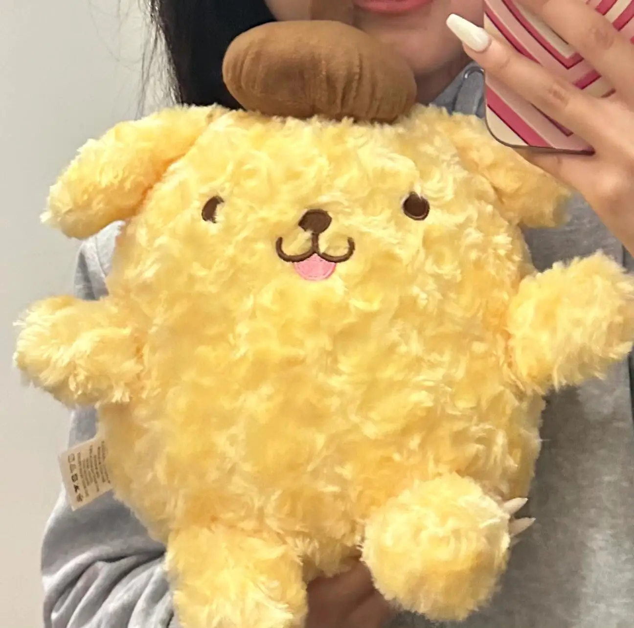 

Милая плюшевая подушка Sanrio Peluche Pom Pom Purin, милая удобная подушка для дивана с помпоном, домашний декор, рождественские подарки для девочек