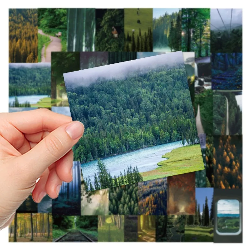 62pcs Realistic Forest Series Graffiti Stickers Suitable for Helmet Desktop Wall Decoration DIY Sticker Pack Wholesale