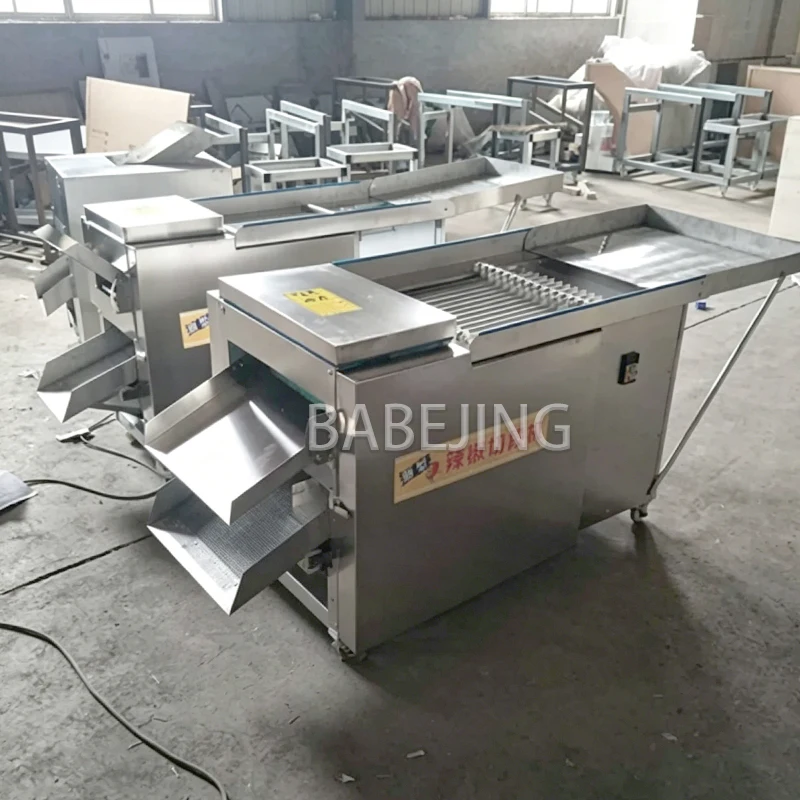 

Commercial Chili Seed Removal Extractor Cutting Machine - Dicing Machine for Spicy Food Production